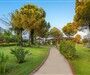 Sidemarin Kirman Premium